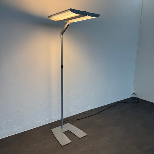 Waldamnn EOS DVS 455P Indirekt-/Direktleuchte mit 220 Watt