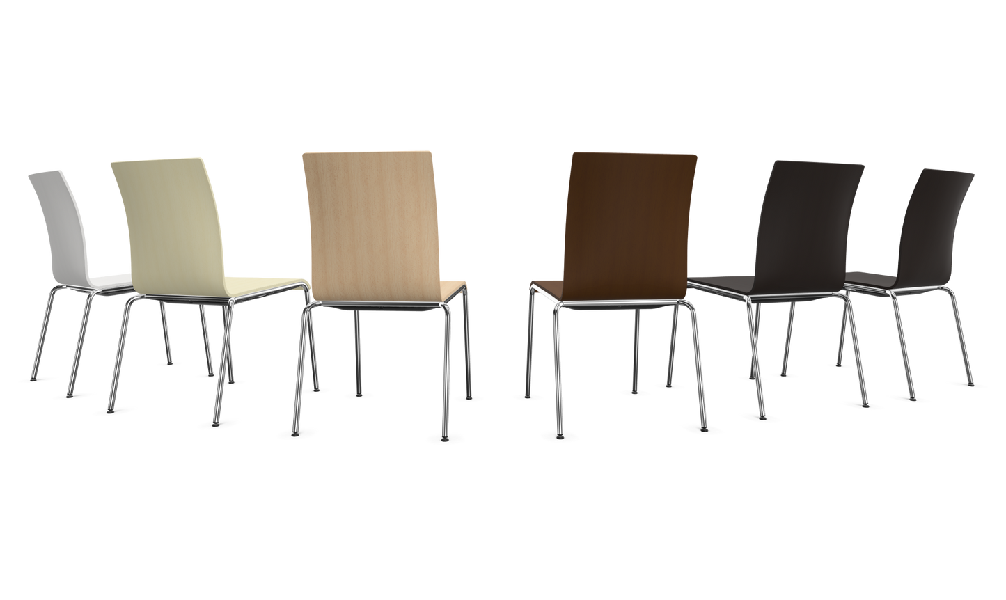 Dietiker Poro - Holz verleimt und geformt - D 316 Buche schwarz