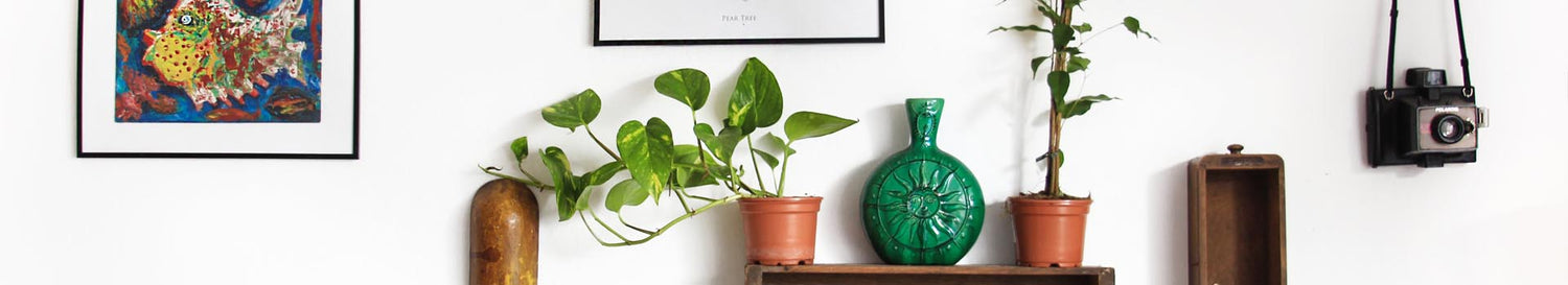 Dekoration – Stilvolle Akzente für Ihr Büro