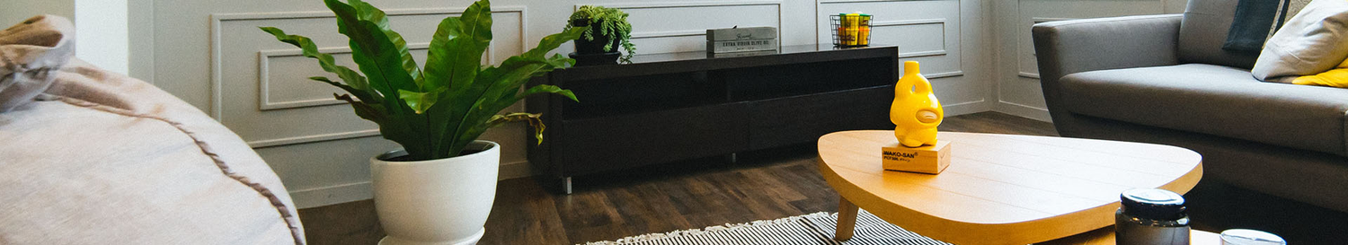 Gemütlicher Lounge-Bereich mit Sofa, Couchtisch aus Holz, Pflanze im Topf und Sideboard auf dunklem Holzboden.