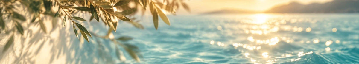 Sommerende Newsletter Header mit Sonnenlicht auf Wasser für MC Office Shop End-of-Summer Sale und exklusive Büromöbel-Aktionen