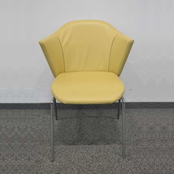 Top Design Café Lounge-Sessel