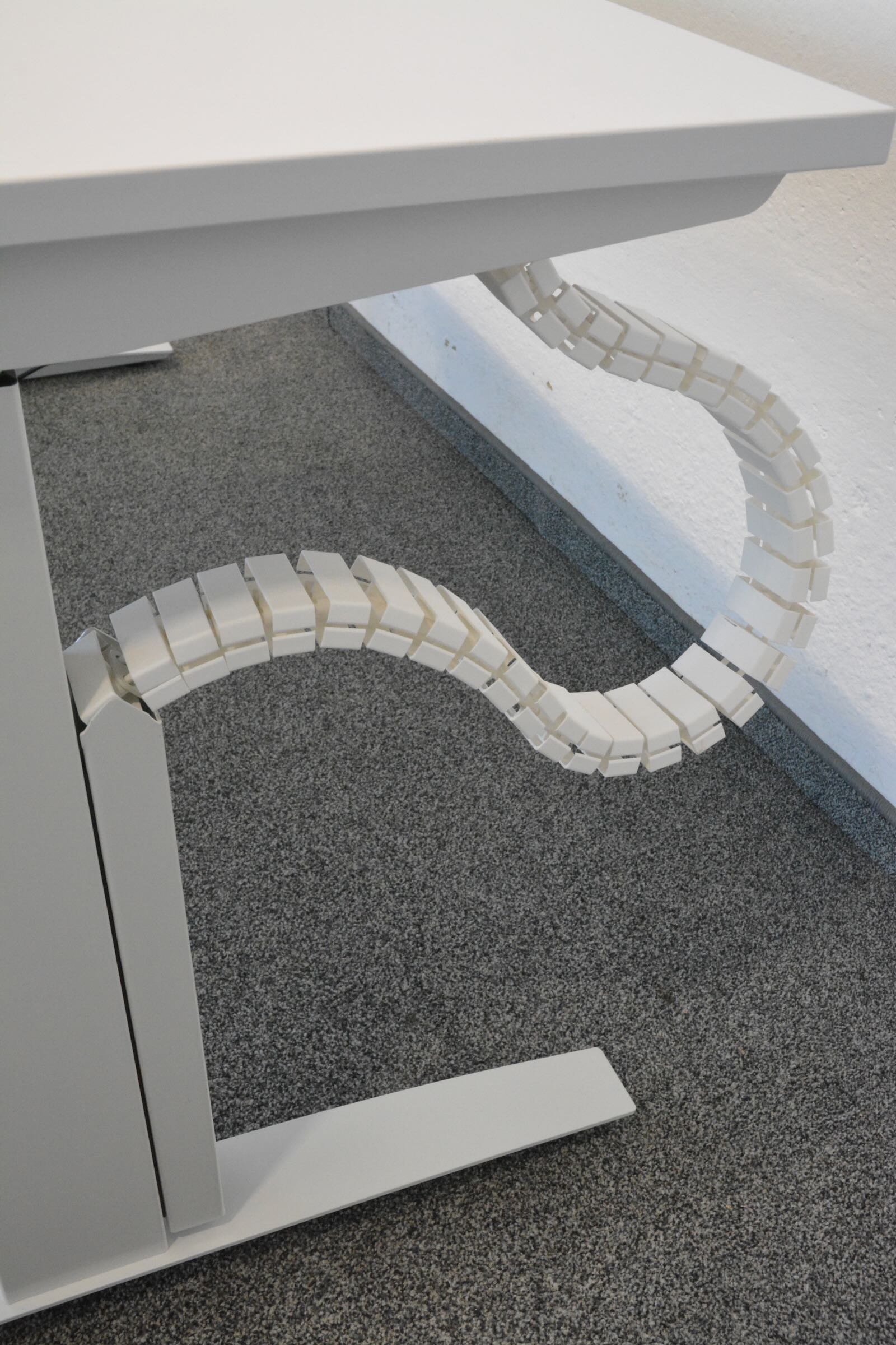 Tatzelwurm für Sitag Active magnetisch