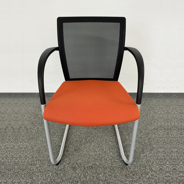 König Neurath OKAY II Freischwinger