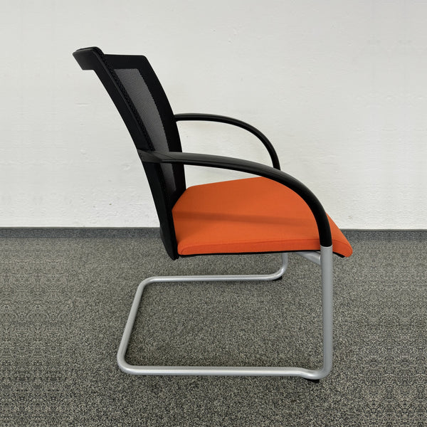 König Neurath OKAY II Freischwinger