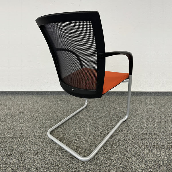 König Neurath OKAY II Freischwinger