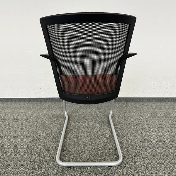 König Neurath OKAY II Freischwinger