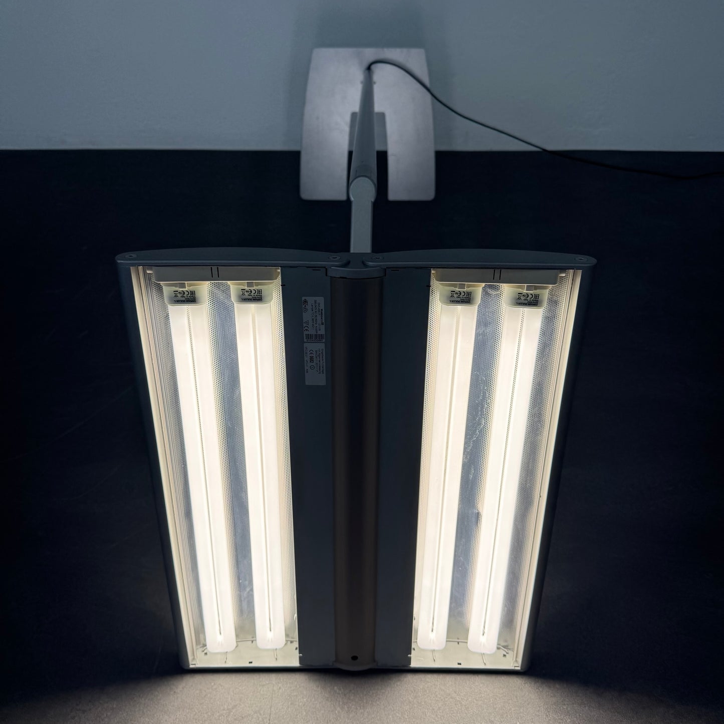 Waldamnn EOS DVS 455P Indirekt-/Direktleuchte Ansicht Leuchtmittel