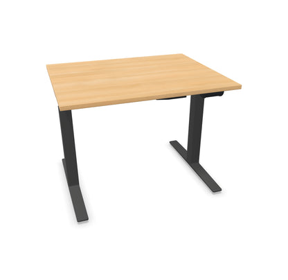 TALO.YOU Sitz-Steh-Schreibtisch mit Gaslift 1000x800mm Tischplatte Eichendekor - Gestell Anthrazit - 6039056