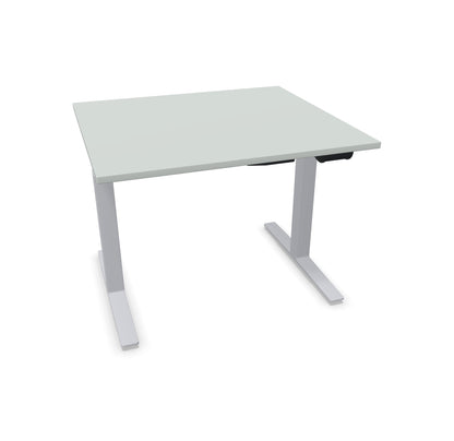 TALO.YOU Sitz-Steh-Schreibtisch mit Gaslift 1000x900mm Tischplatte Lichtgrau - Gestell Silbergrau - 6039118