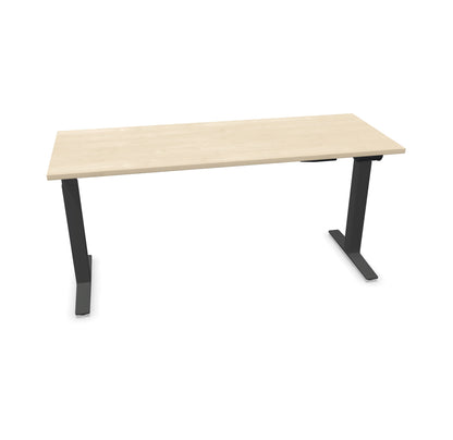 TALO.YOU Sitz-Steh-Schreibtisch mit Gaslift 1600x600mm Tischplatte Ahorndekor - Gestell Anthrazit - 6039414