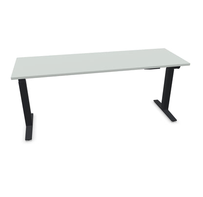 TALO.YOU Sitz-Steh-Schreibtisch mit Gaslift 1800x600mm Tischplatte Lichtgrau - Gestell Schwarz - 6039522