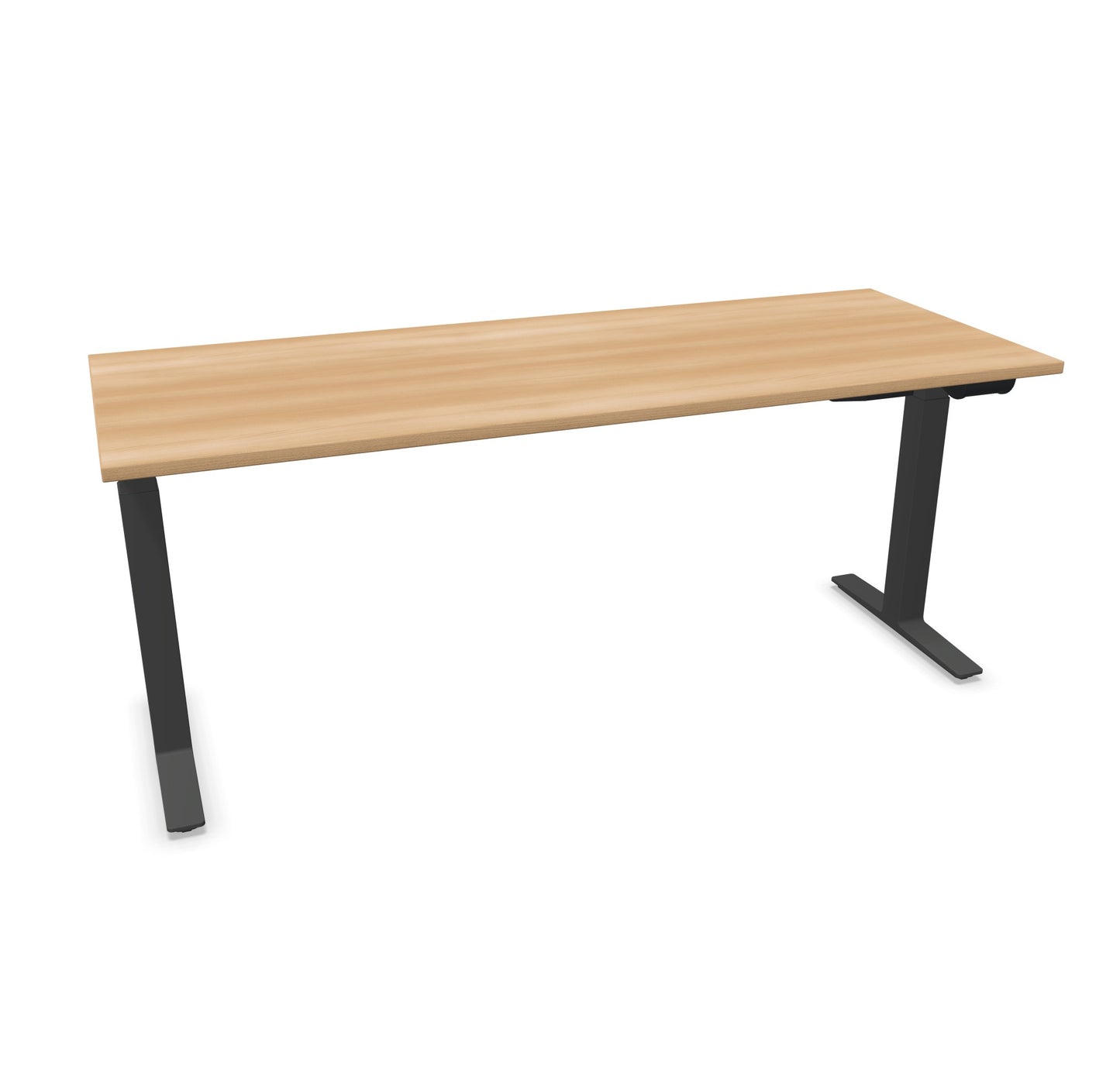 TALO.YOU Sitz-Steh-Schreibtisch mit Gaslift 1800x700mm Tischplatte Buchendekor - Gestell Anthrazit - 6039562