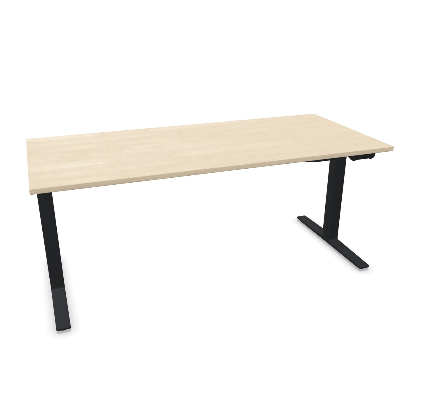 TALO.YOU Sitz-Steh-Schreibtisch mit Gaslift 1800x800mm Tischplatte Ahorndekor - Gestell Schwarz - 6039572