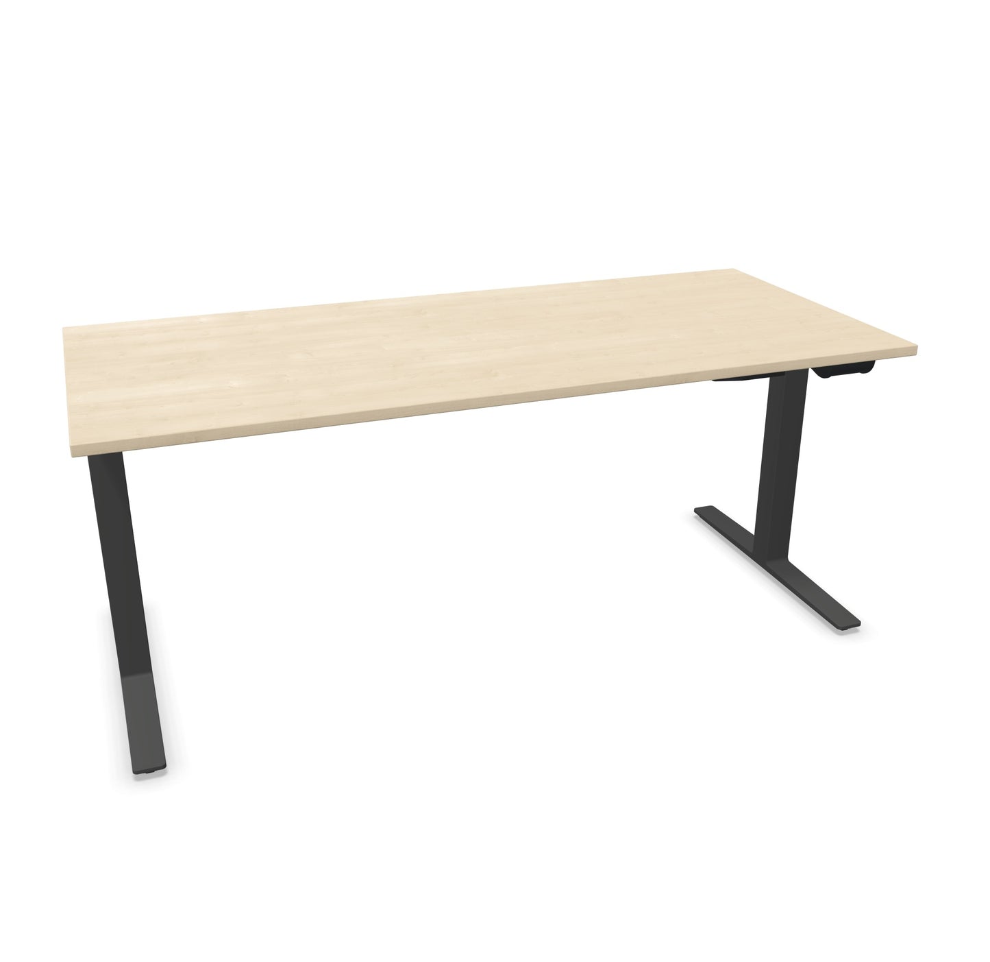 TALO.YOU Sitz-Steh-Schreibtisch mit Gaslift 1800x800mm Tischplatte Ahorndekor - Gestell Anthrazit - 6039584