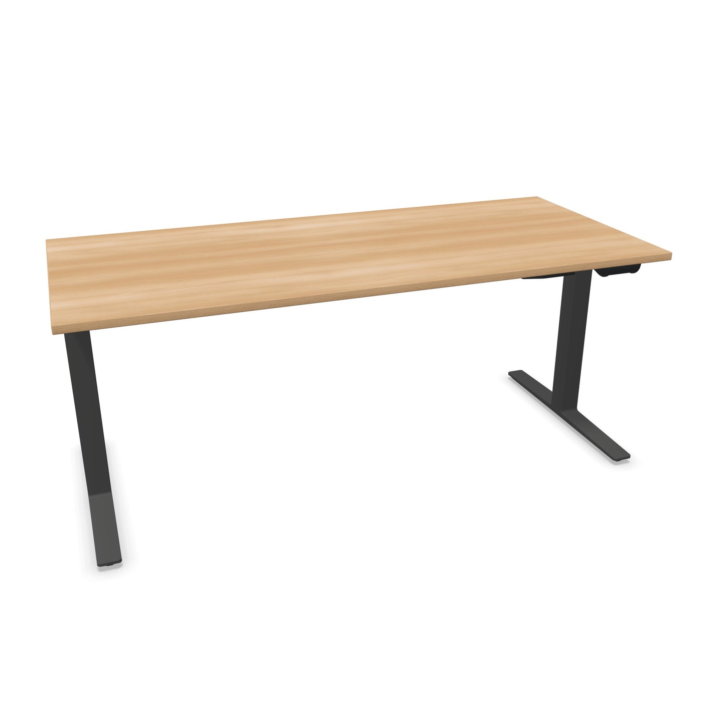 TALO.YOU Sitz-Steh-Schreibtisch mit Gaslift 1800x800mm Tischplatte Buchendekor - Gestell Anthrazit - 6039586