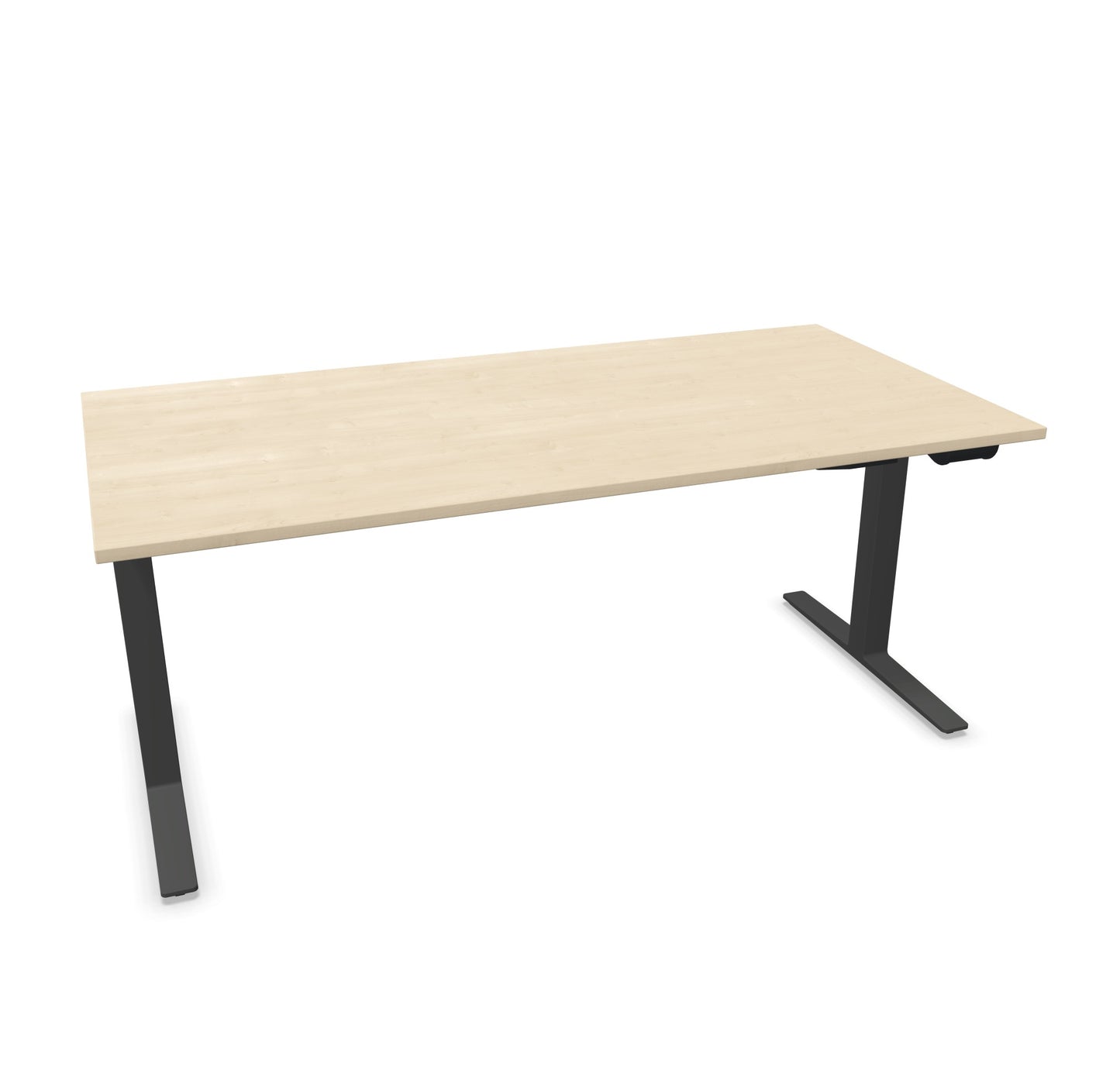 TALO.YOU Sitz-Steh-Schreibtisch mit Gaslift 1800x900mm Tischplatte Ahorndekor - Gestell Anthrazit - 6039608
