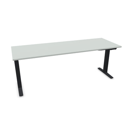 TALO.YOU Sitz-Steh-Schreibtisch mit Gaslift 2000x700mm Tischplatte Lichtgrau - Gestell Schwarz - 6039667