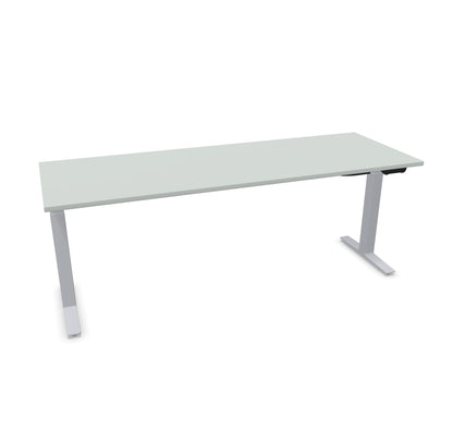 TALO.YOU Sitz-Steh-Schreibtisch mit Gaslift 2000x700mm Tischplatte Lichtgrau - Gestell Silbergrau - 6039673