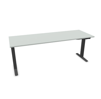 TALO.YOU Sitz-Steh-Schreibtisch mit Gaslift 2000x700mm Tischplatte Lichtgrau - Gestell Anthrazit - 6039679