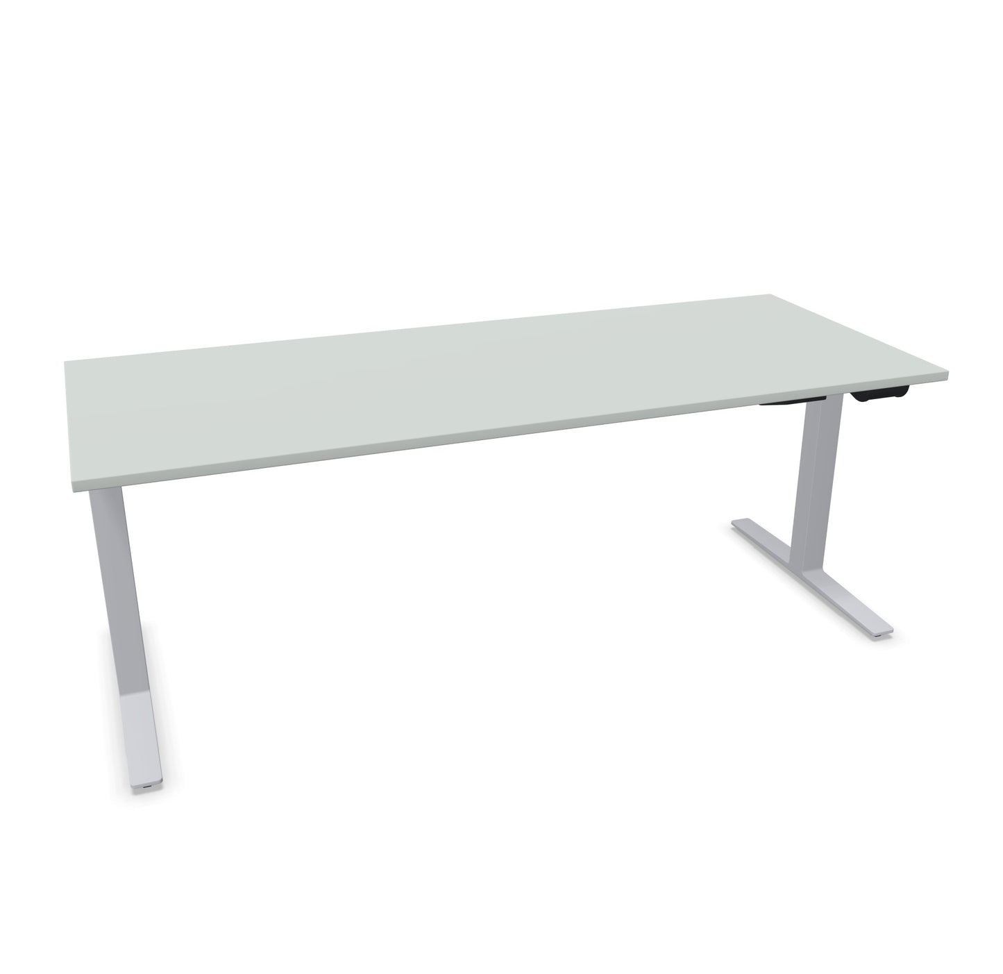 TALO.YOU Sitz-Steh-Schreibtisch mit Gaslift 2000x800mm Tischplatte Lichtgrau - Gestell Silbergrau - 6039697