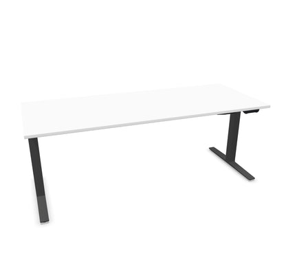 TALO.YOU Sitz-Steh-Schreibtisch mit Gaslift 2000x800mm Tischplatte Weiss - Gestell Anthrazit - 6039702