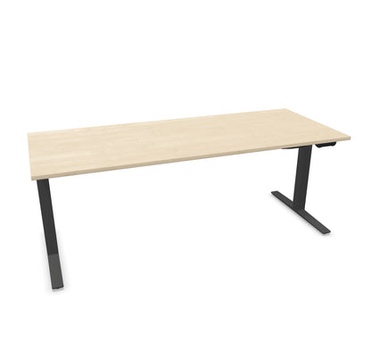 TALO.YOU Sitz-Steh-Schreibtisch mit Gaslift 2000x800mm Tischplatte Ahorndekor - Gestell Anthrazit - 6039704
