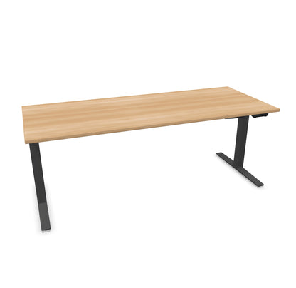 TALO.YOU Sitz-Steh-Schreibtisch mit Gaslift 2000x800mm Tischplatte Buchendekor - Gestell Anthrazit - 6039706