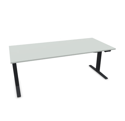 TALO.YOU Sitz-Steh-Schreibtisch mit Gaslift 2000x900mm Tischplatte Lichtgrau - Gestell Schwarz - 6039715