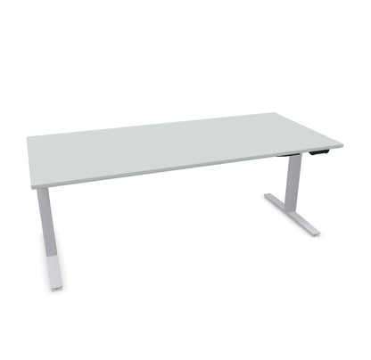 TALO.YOU Sitz-Steh-Schreibtisch mit Gaslift 2000x900mm Tischplatte Lichtgrau - Gestell Silbergrau - 6039721