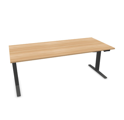 TALO.YOU Sitz-Steh-Schreibtisch mit Gaslift 2000x900mm Tischplatte Buchendekor - Gestell Anthrazit - 6039730