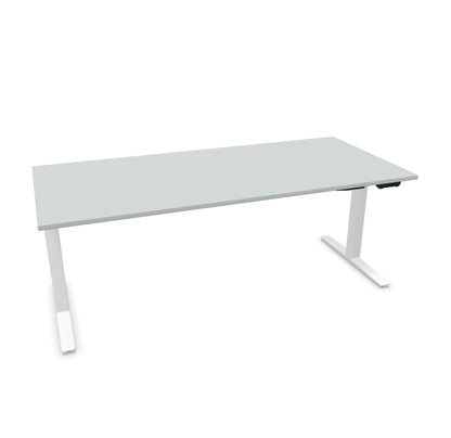 TALO.YOU Sitz-Steh-Schreibtisch mit Gaslift 2000x900mm Tischplatte Lichtgrau - Gestell Weiss - 6039733