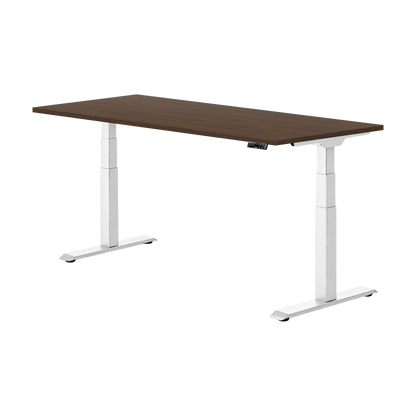 Flexispot E7W Sitz-Steh-Schreibtisch