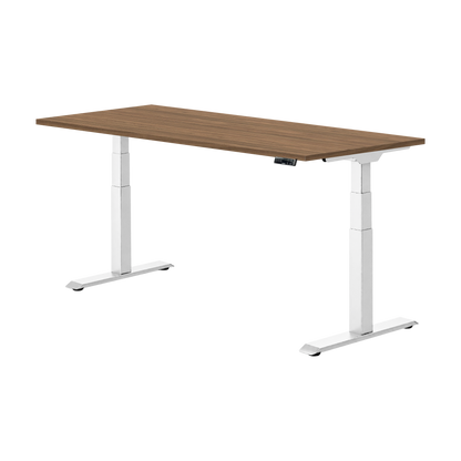 Flexispot E7W Sitz-Steh-Schreibtisch