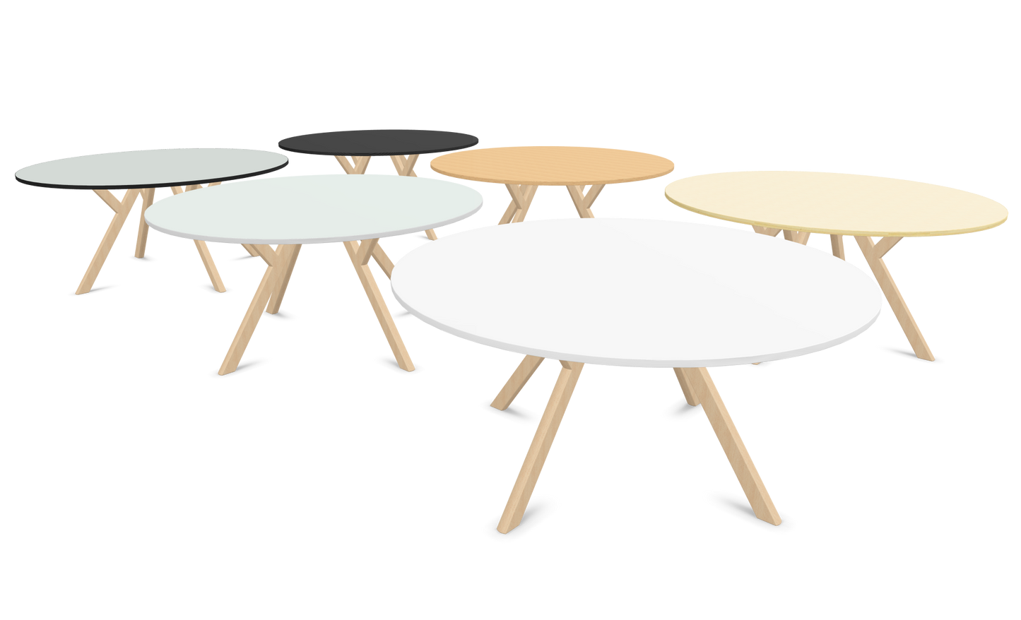 Dietiker Felber T14 Sitzungstisch - HPL Platte - Alaska Birch