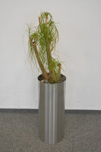 Laden Sie das Bild in den Galerie-Viewer, Top Design Pflanzen-Topf mit Inhalt - Metall - Chrom