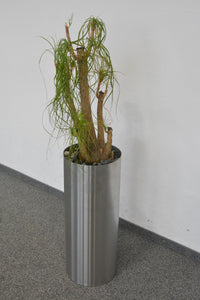 Top Design Pflanzen-Topf mit Inhalt - Metall - Chrom